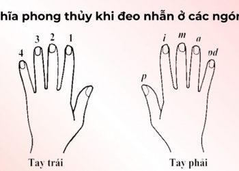 Ý nghĩa phong thủy khi đeo nhẫn ở các ngón tay